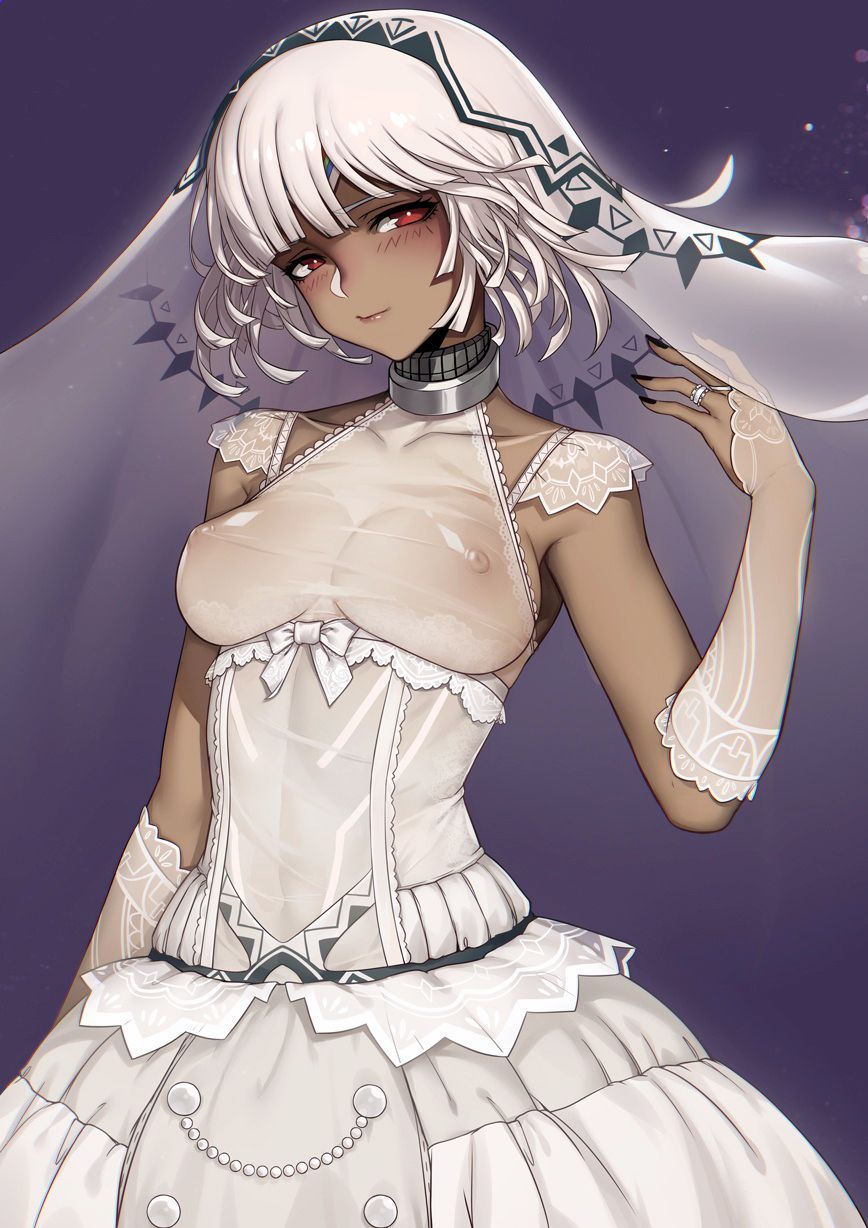 Altera Hentai - Image 4
