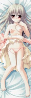 Ero Dakimakura Hentai - Image 41