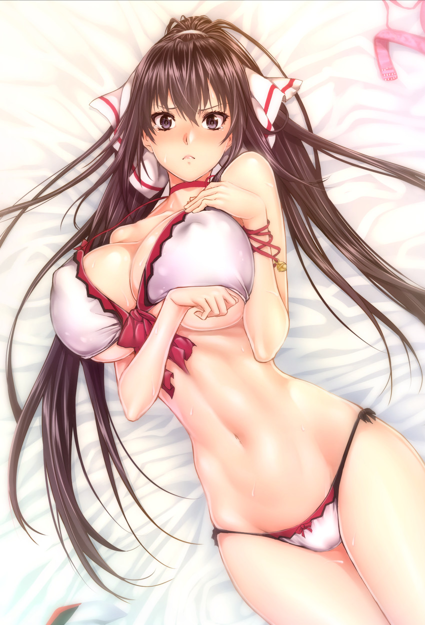 Houki Shinonono Hentai - Image 4