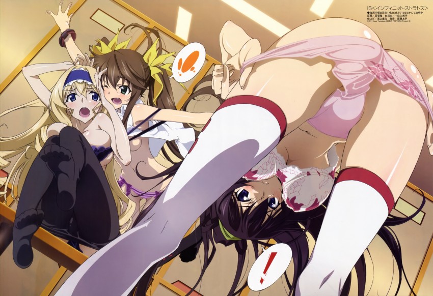 Houki Shinonono Hentai - Image 52