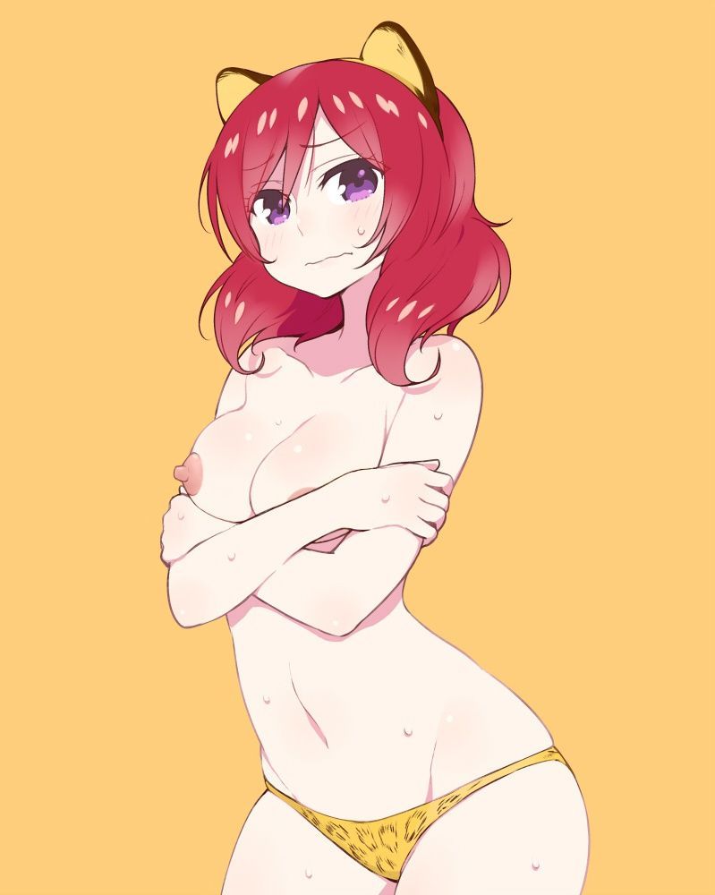 Maki Nishikino Hentai - Image 143