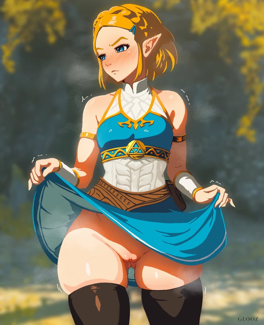 Princess Zelda hentai fan art uncensored