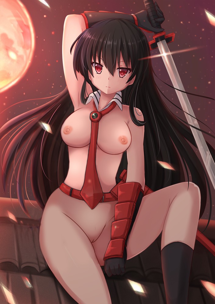 Akame from Akame ga Kill! hentai art (image 9)