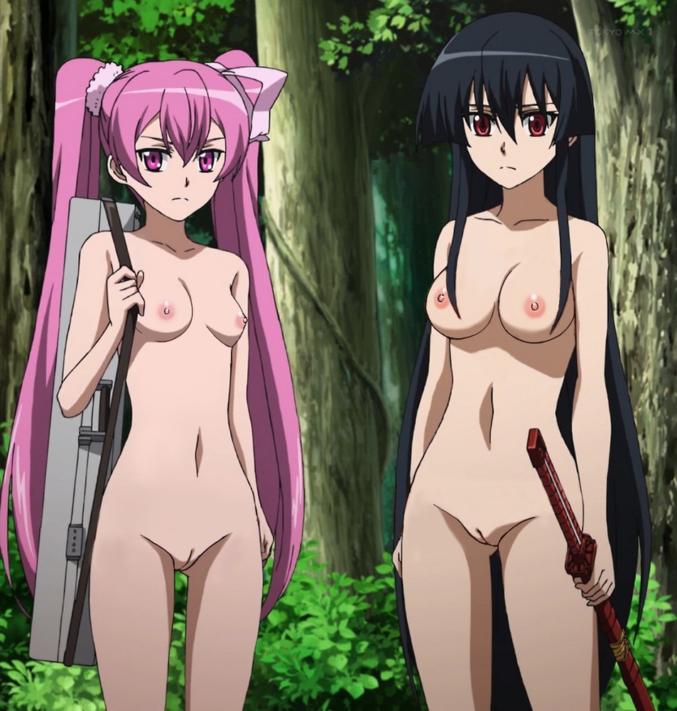 Akame from Akame ga Kill! hentai art (image 22)
