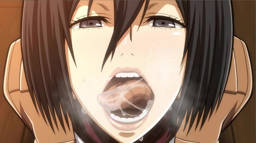 Mikasa from Attack on Titan hentai art (image 10 of 35)