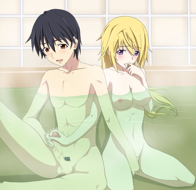 Charlotte Dunois hentai art (image 17 of 31)