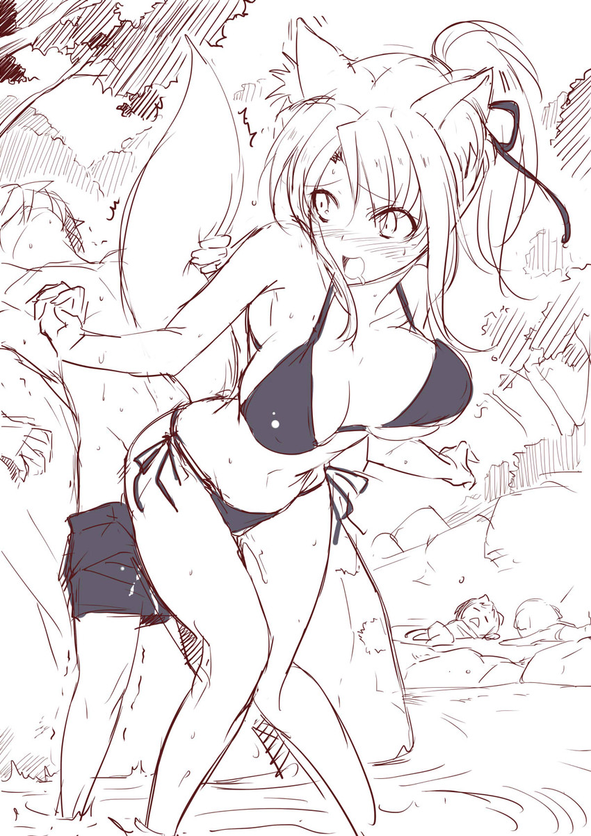 Dog Days hentai art (image 24)