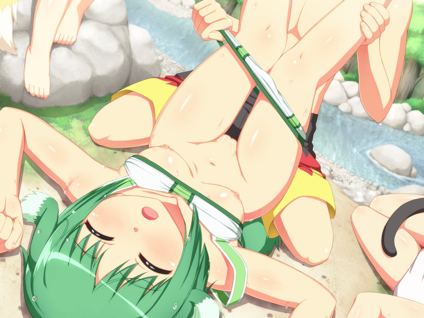 Dog Days hentai art (image 28)