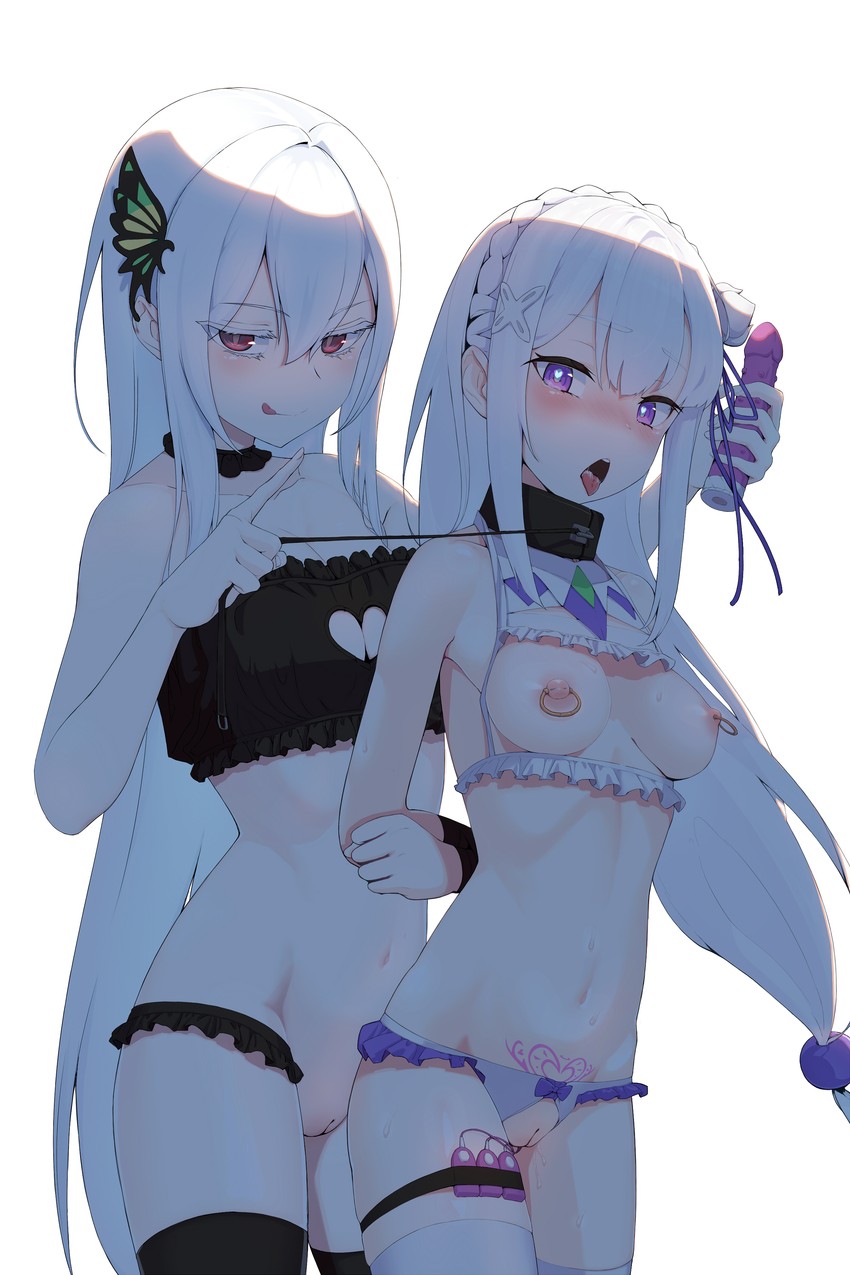 Emilia hentai art (image 22)