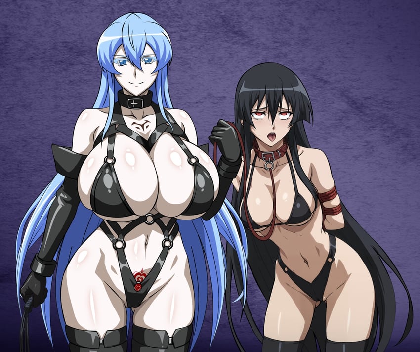 Esdeath hentai art (image 14 of 30)