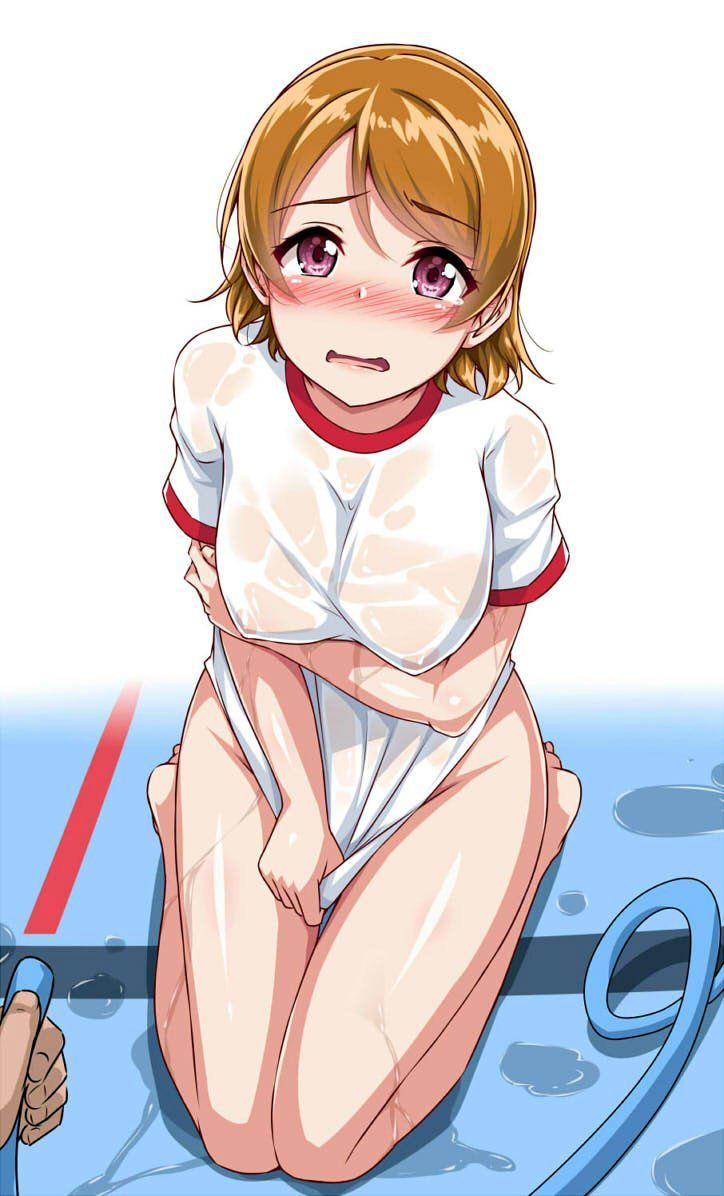 Hanayo Koizumi hentai art (image 13 of 45)