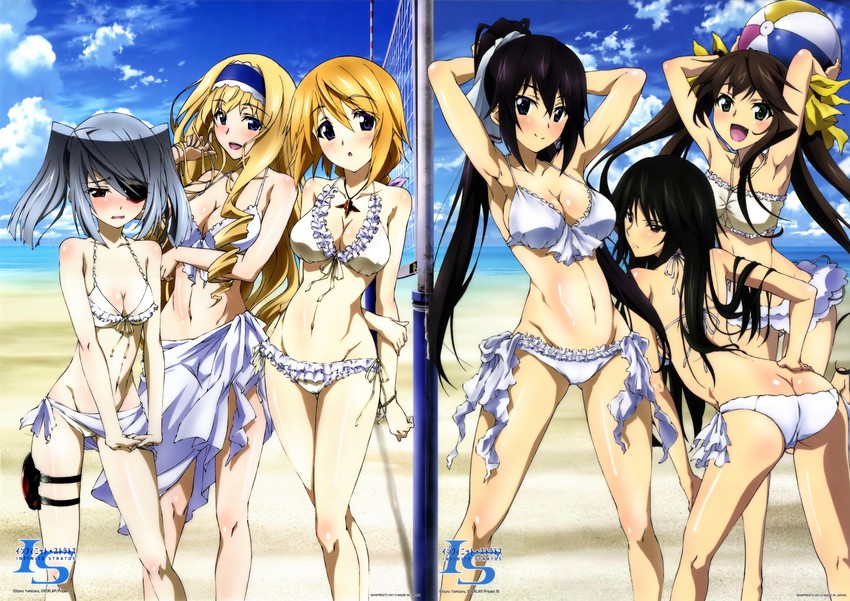 Houki Shinonono hentai art (image 2 of 30)