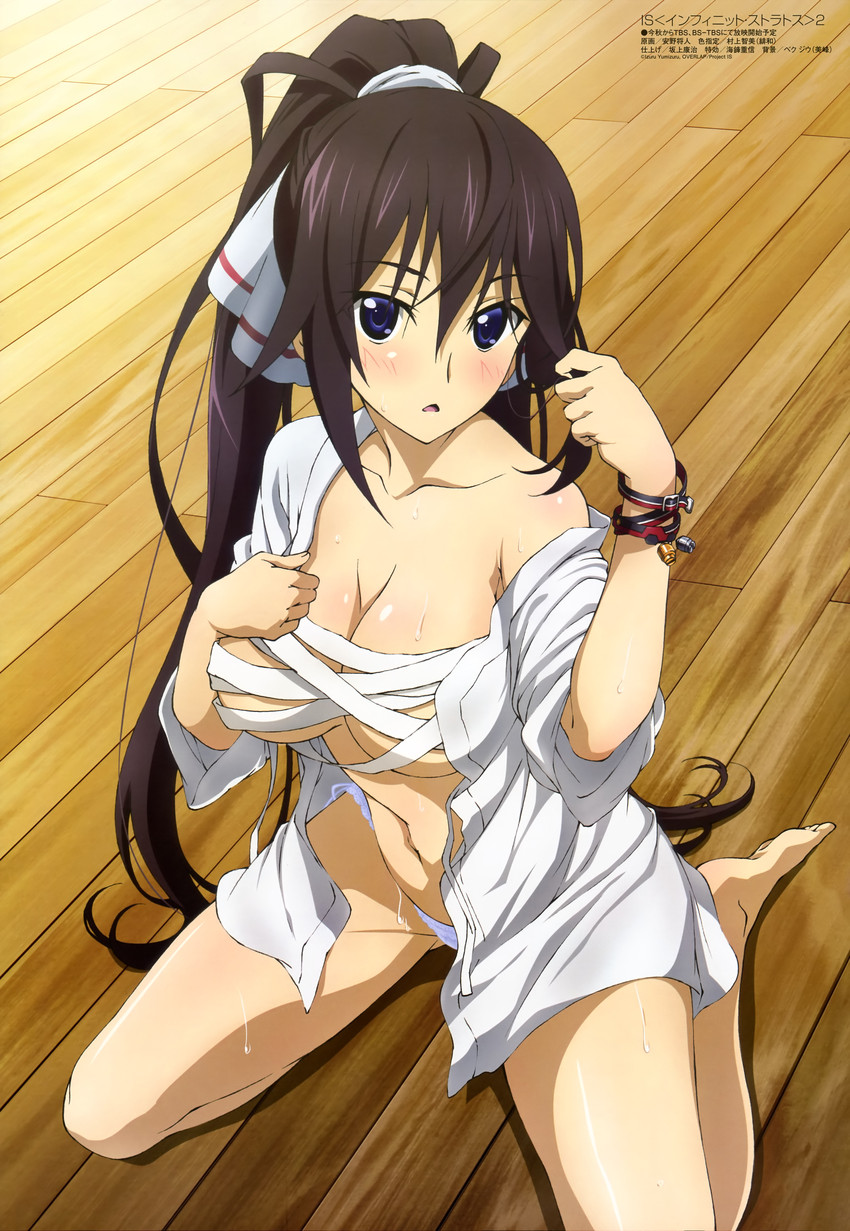 Houki Shinonono hentai art (image 8 of 30)