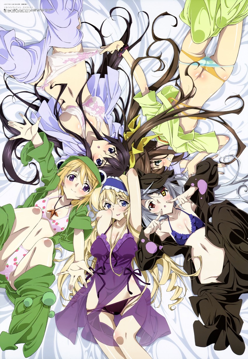 Houki Shinonono hentai art (image 14 of 30)