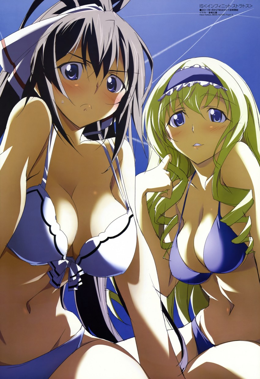 Houki Shinonono hentai art (image 18 of 30)