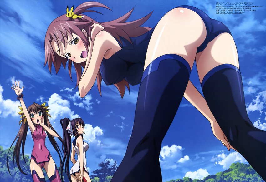 Houki Shinonono hentai art (image 21 of 30)