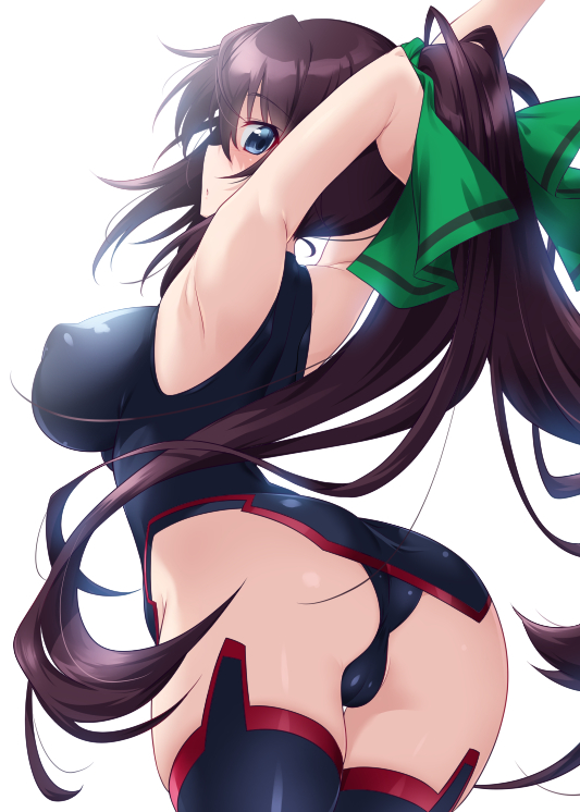 Houki Shinonono hentai art (image 29 of 30)