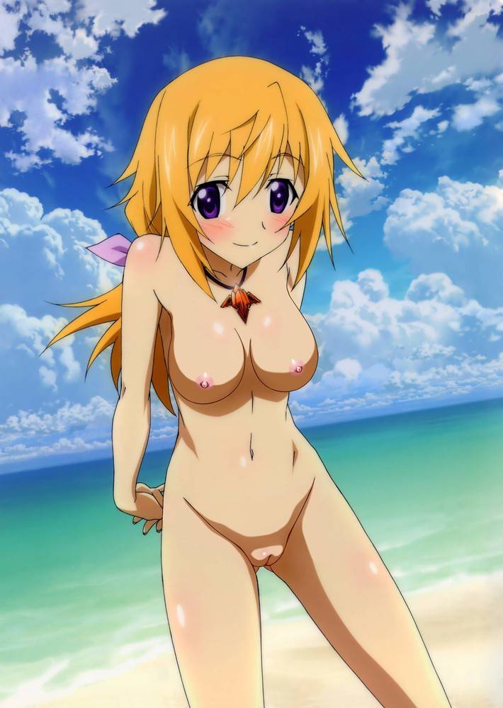 Charlotte Dunois from Infinite Stratos hentai art (image 13)