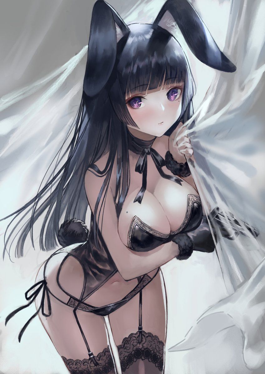 Moe Bunny hentai gallery cover