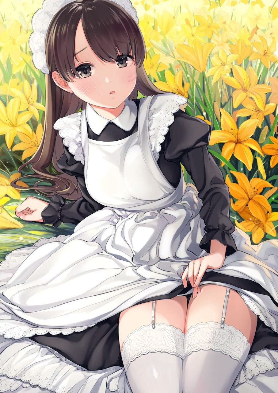 Moe Maid hentai art (image 118 of 164)