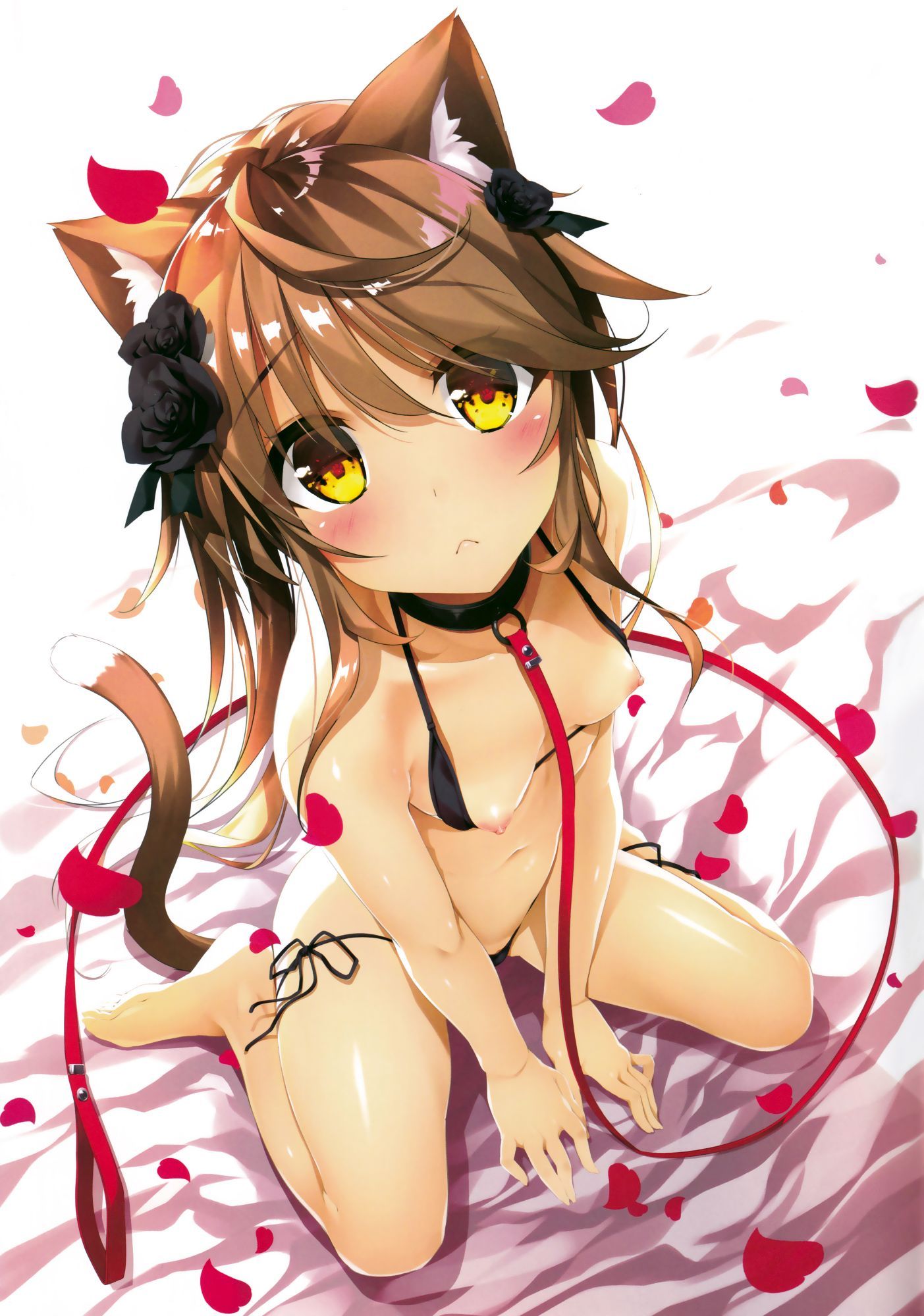 Neko hentai art (image 9 of 96)