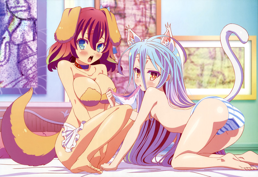 No Game No life hentai art (image 30)