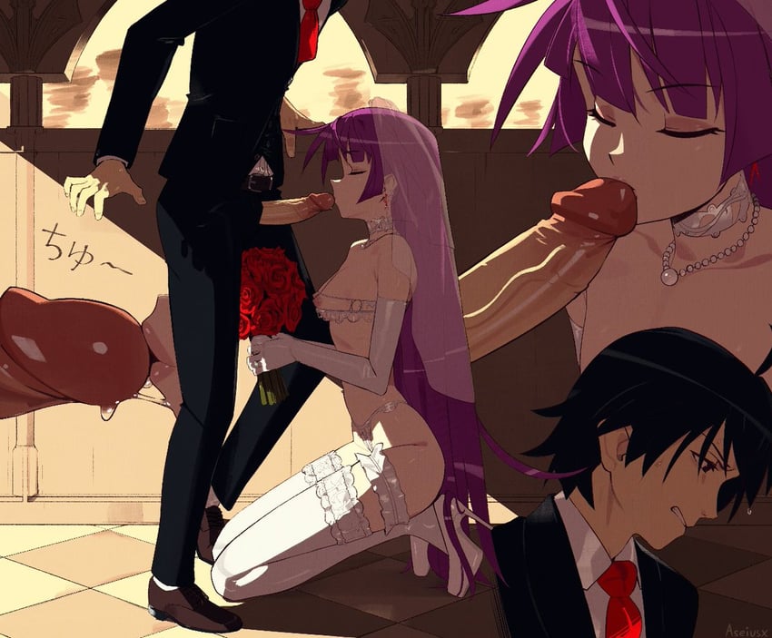 Senjougahara hentai art (image 28)