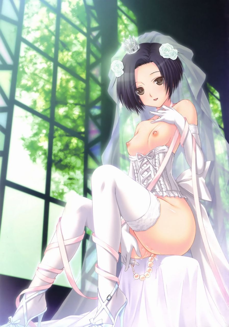 Wedding Dress hentai art (image 139 of 155)