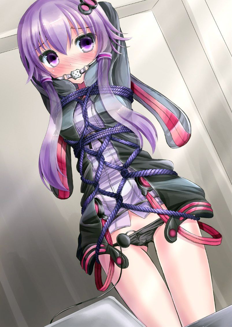 Yuzuki Yukari hentai art (image 19)