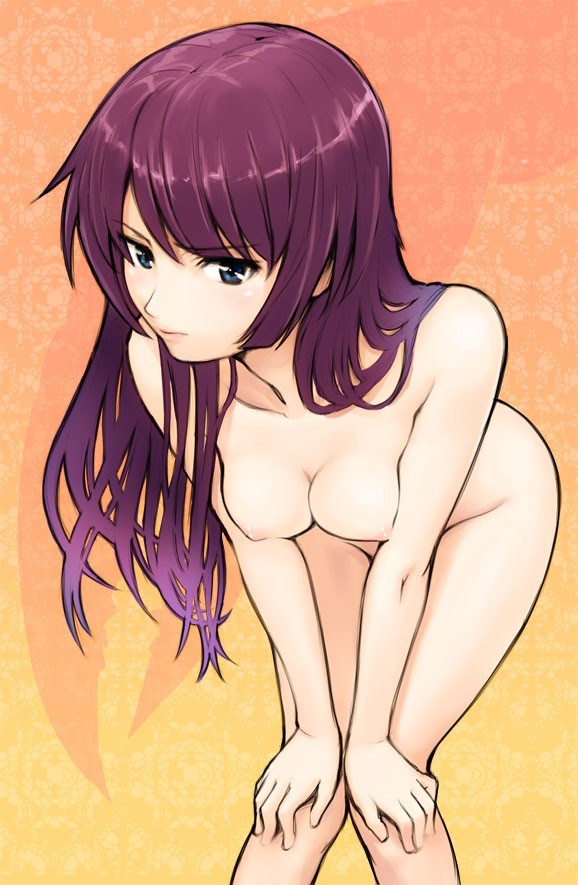 senjogahara hitagi hentai art (image 22 of 47)